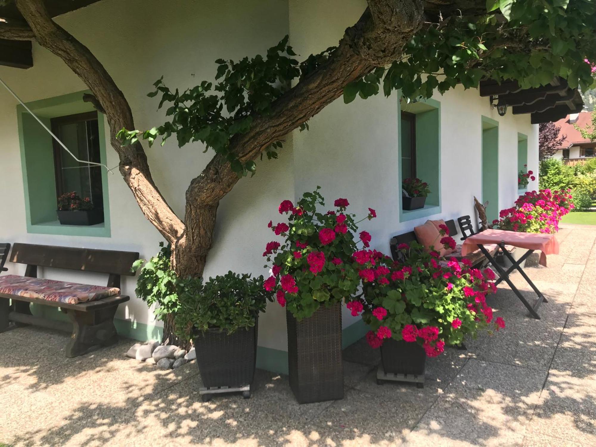 Haus Hoher Sattel Leutasch Exterior foto