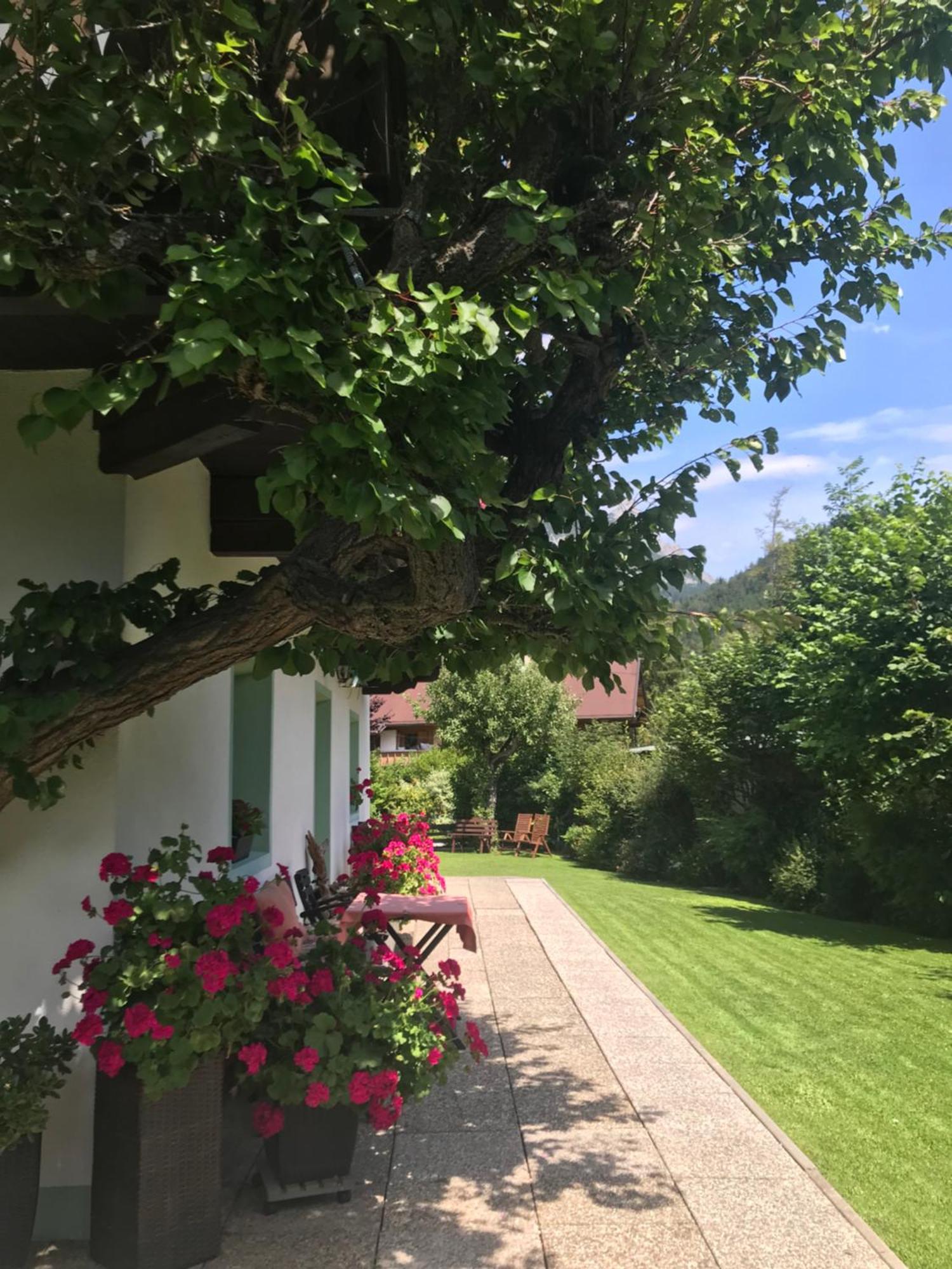 Haus Hoher Sattel Leutasch Exterior foto